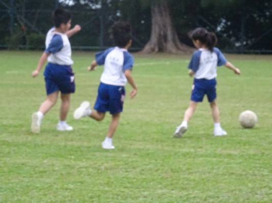 DSC02450.JPG