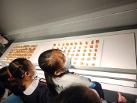 跨越時空 探索故宮學習之旅 (16)