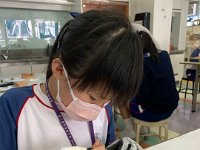 認識非遺-篆刻藝術工作坊 (70)