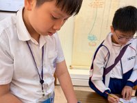 視藝科戶外學習日-香港大學博物館匯活動 (34)