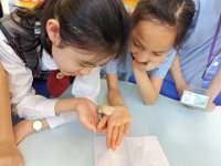 24-25年度長小息 (59)
