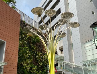 六年級戶外學習