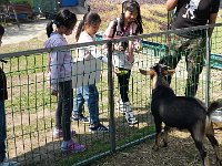 小白兔農莊親子旅行 (19)