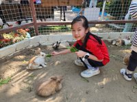 小白兔農莊親子旅行 (8)