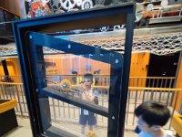 20250709深圳001 (46)
