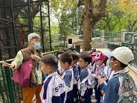 IMG 4348