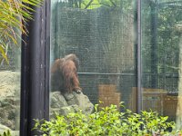 IMG 4362