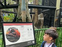 IMG 7437