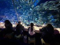 「邊學‧邊畫」海洋公園繪畫比賽 (13)