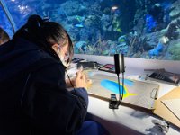 「邊學‧邊畫」海洋公園繪畫比賽 (21)