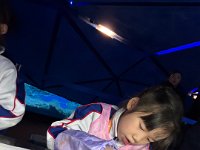 「邊學‧邊畫」海洋公園繪畫比賽 (24)