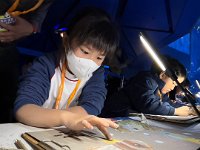 「邊學‧邊畫」海洋公園繪畫比賽 (28)