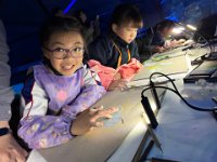 「邊學‧邊畫」海洋公園繪畫比賽 (31)