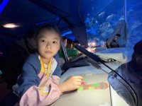 「邊學‧邊畫」海洋公園繪畫比賽 (38)