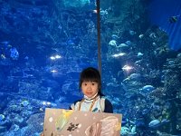 「邊學‧邊畫」海洋公園繪畫比賽 (44)