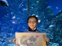 「邊學‧邊畫」海洋公園繪畫比賽 (47)