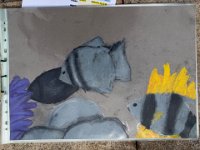 「邊學‧邊畫」海洋公園繪畫比賽 (65)