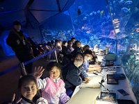 「邊學‧邊畫」海洋公園繪畫比賽 (8)