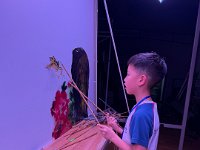 IMG 8552