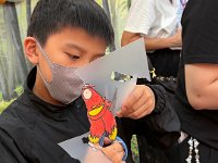IMG 8595
