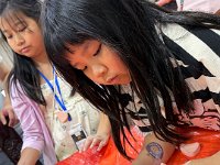 IMG 9195